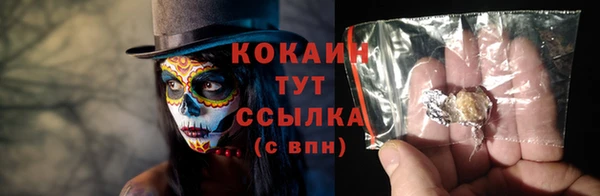 прущие крисы Новозыбков