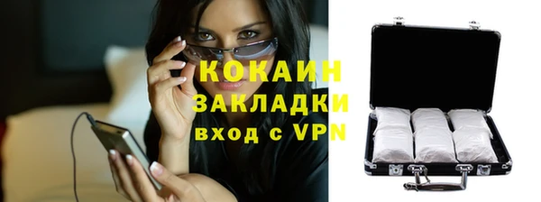 прущие крисы Новозыбков