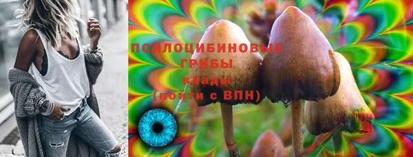 прущие крисы Новозыбков