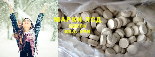 прущие крисы Новозыбков